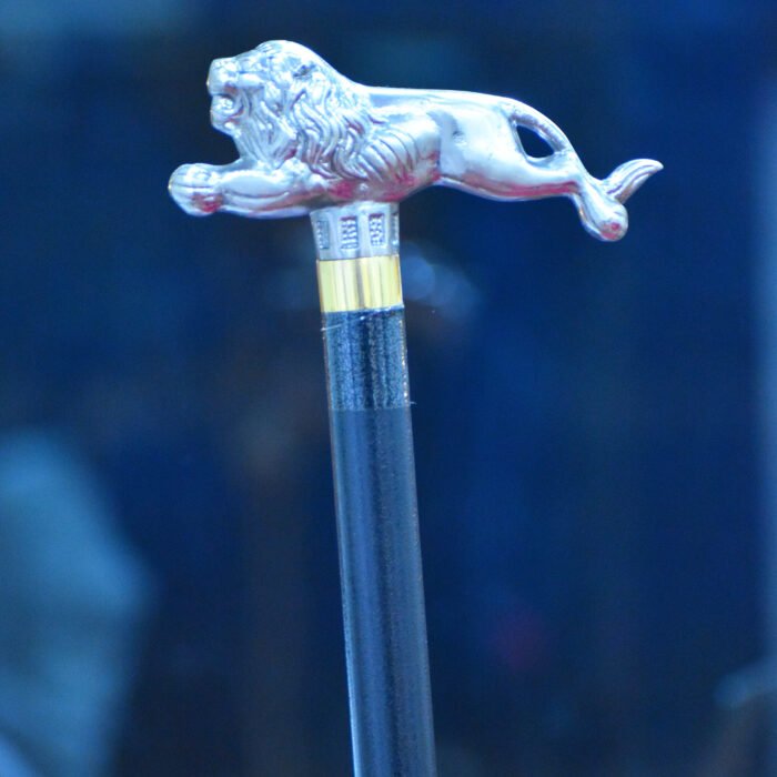 metallic-walking-sticks-design-204